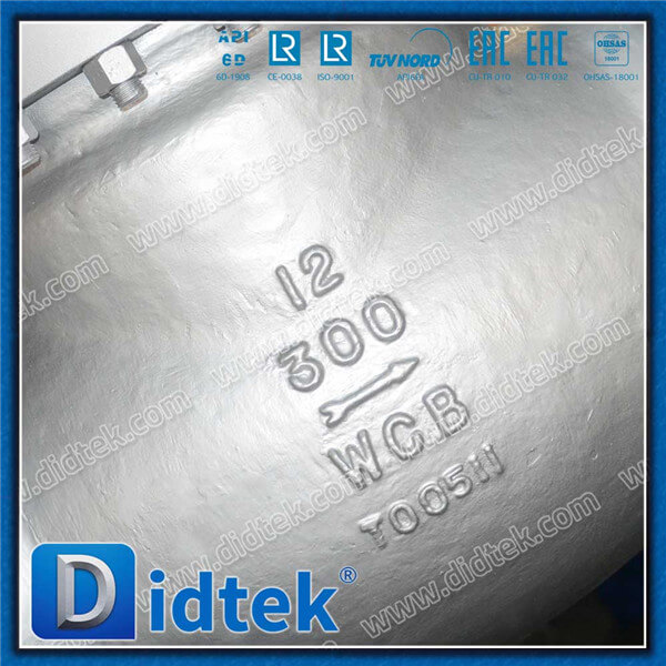 Didtek BS1868 Cast Steel Swing Check Valve