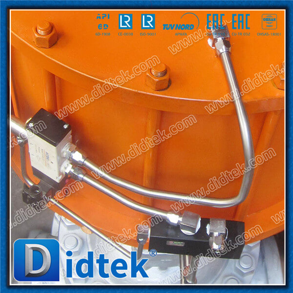 Didtek Industrial Pneumatic Double Acting BW 10" 900LB Gate Valve